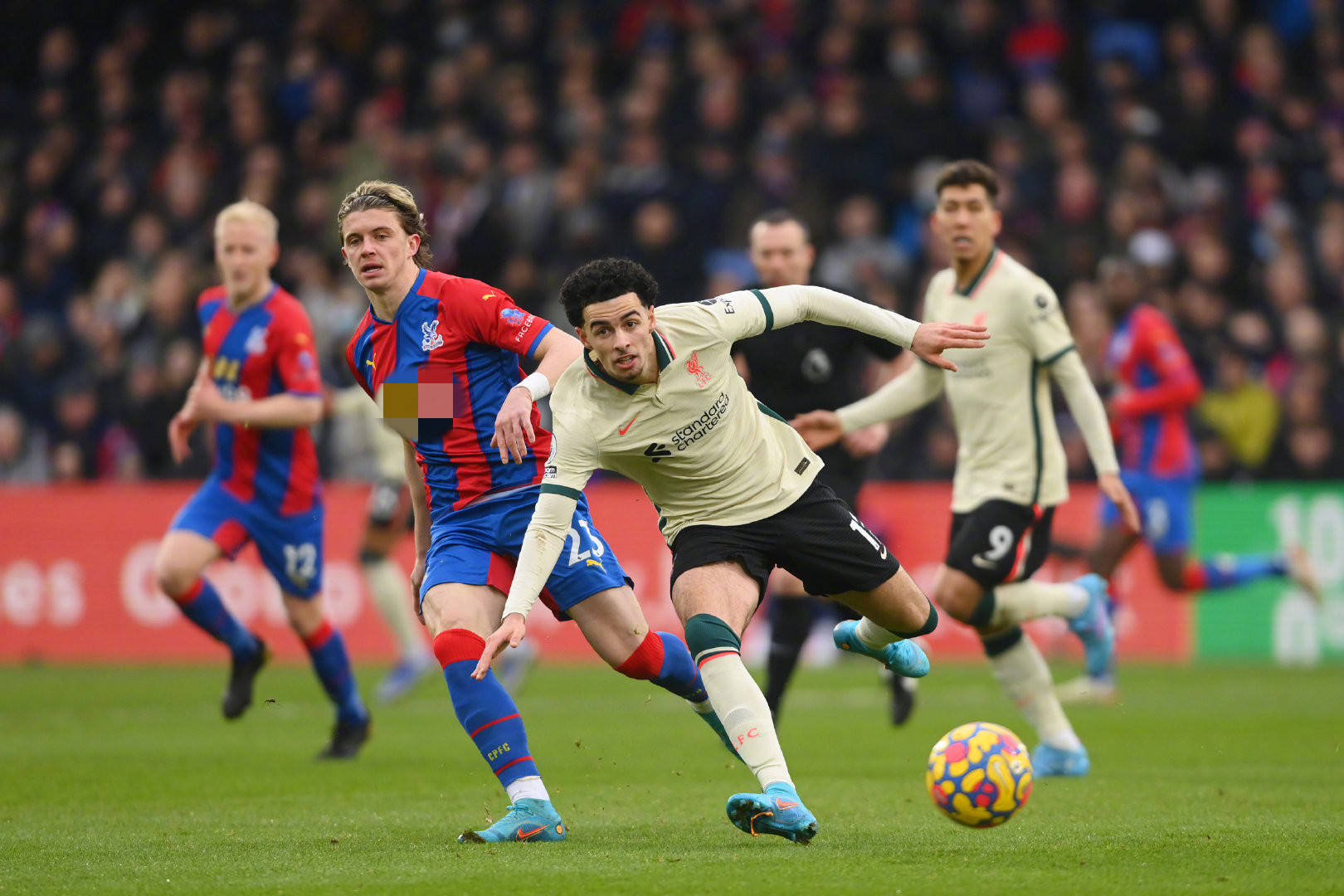 活和机智则 活和机智则